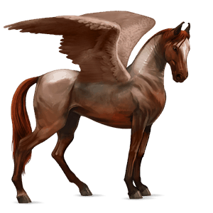 riding pegasus brumby bay