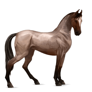riding horse light grey