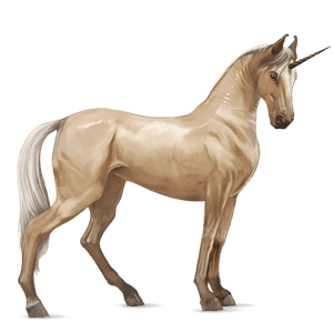 riding unicorn shagya arabian light grey