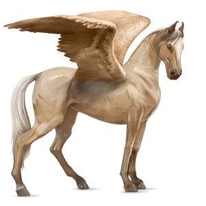 riding pegasus appaloosa chestnut snowflake 