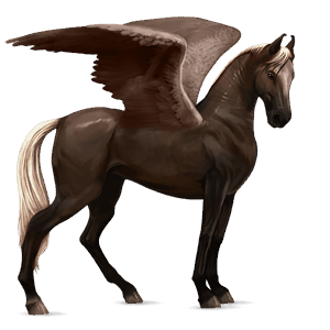riding pegasus appaloosa few spots