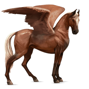 riding pegasus marwari chestnut
