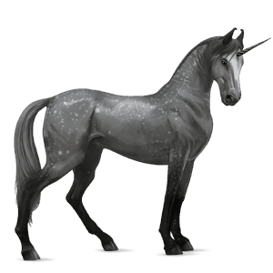 riding unicorn marwari dapple grey