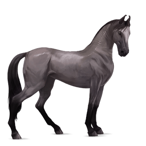 riding horse mouse grey