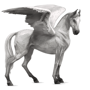 riding pegasus marwari liver chestnut