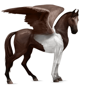 riding pegasus dapple grey