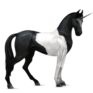 riding unicorn marwari black tobiano