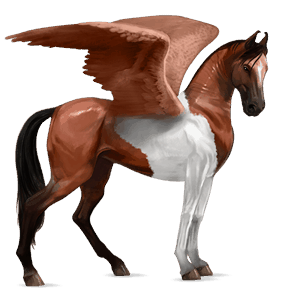 riding pegasus mustang chestnut