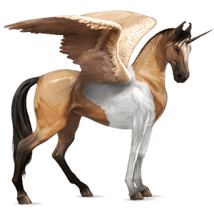 winged riding unicorn vanner dun tobiano