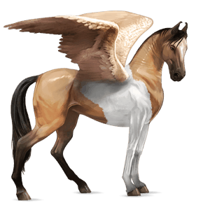 riding pegasus paint horse dapple grey tobiano