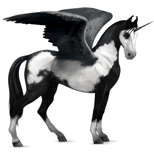 winged riding unicorn kwpn light grey