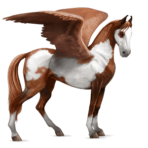 riding pegasus paint horse chestnut tobiano