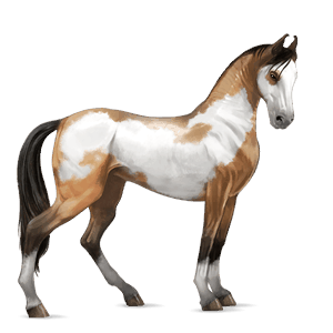 riding horse hanoverian strawberry roan