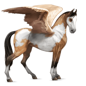 riding pegasus arabian horse roan