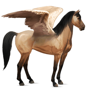 riding pegasus mustang dun spotted blanket