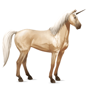 riding unicorn dark bay