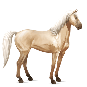 riding horse mustang liver chestnut