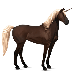 riding unicorn kwpn dun