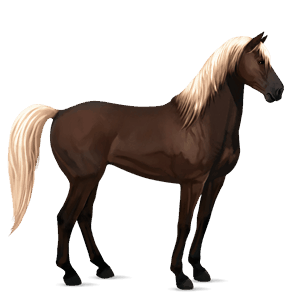 riding horse mustang flaxen liver chestnut 