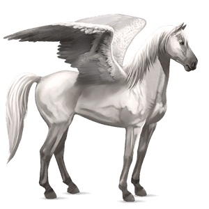 riding pegasus purebred spanish horse light grey