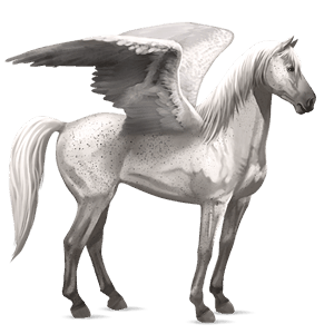 riding pegasus thoroughbred light grey