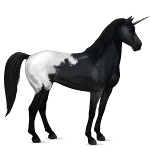 riding unicorn mustang black blanket 