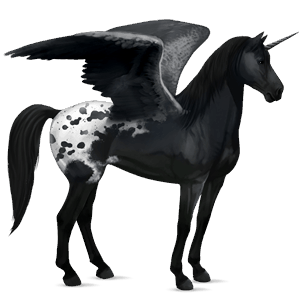 winged riding unicorn knabstrupper black spotted blanket 