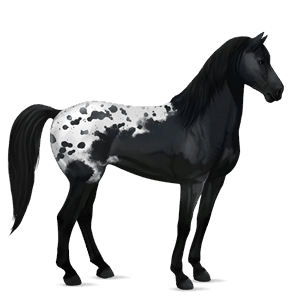 riding horse mustang flaxen chestnut 