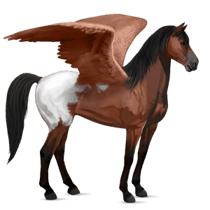 riding pegasus thoroughbred strawberry roan