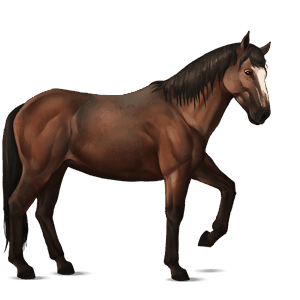 riding horse mustang mouse grey