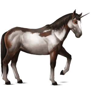 riding unicorn dark bay overo