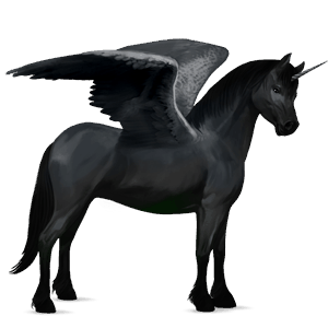 winged unicorn pony  newfoundland pony black