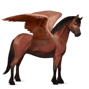 pegasus pony welsh cherry bay
