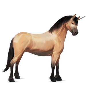 unicorn pony kerry bog dun