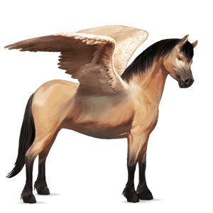 pegasus pony welsh dun