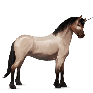 unicorn pony liver chestnut