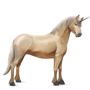unicorn pony connemara palomino