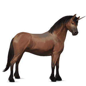 unicorn pony chestnut