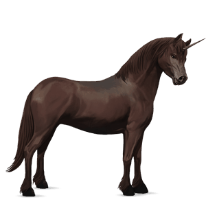 unicorn pony australian pony liver chestnut