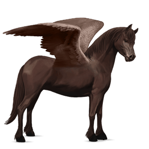 pegasus pony liver chestnut