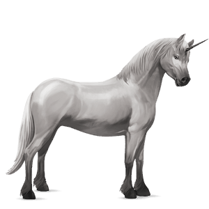 unicorn pony belgian riding pony light grey