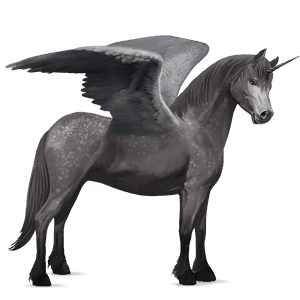 winged unicorn pony  australian pony dapple grey