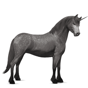 riding unicorn mangalarga marchador dapple grey