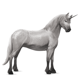 unicorn pony australian pony fleabitten grey