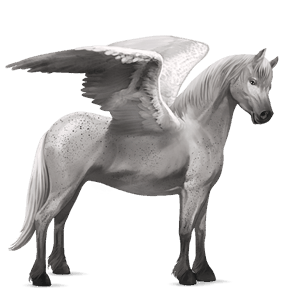 pegasus pony fjord gra