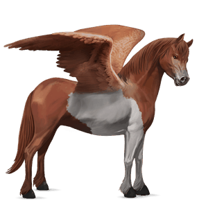 pegasus pony welsh chestnut