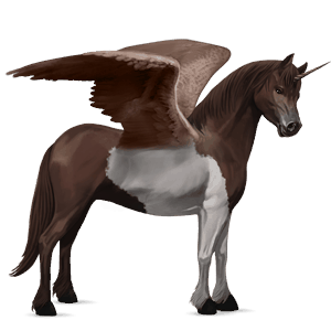 winged unicorn pony  bay tobiano