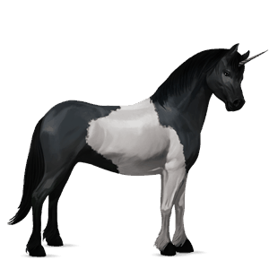 unicorn pony dun