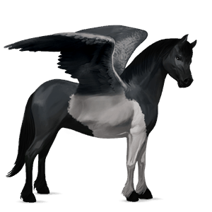 pegasus pony welsh black