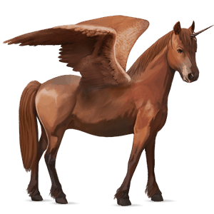 winged unicorn pony  newfoundland pony chestnut